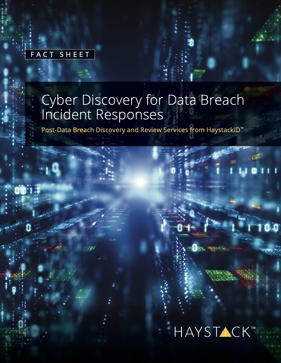 Cyber Discovery for Data Breach Incident Responses