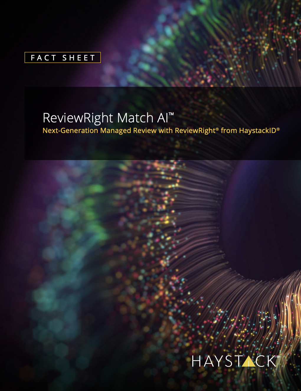 ReviewRight Match AI™